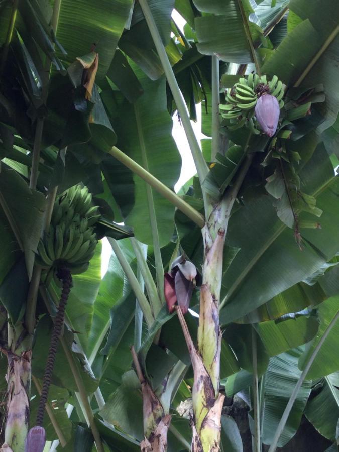 Pousada Alquimia Olinda Luaran gambar